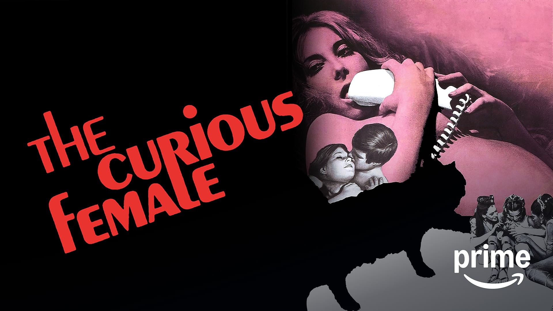 Біреудің презервативке кіргенін қараңыз